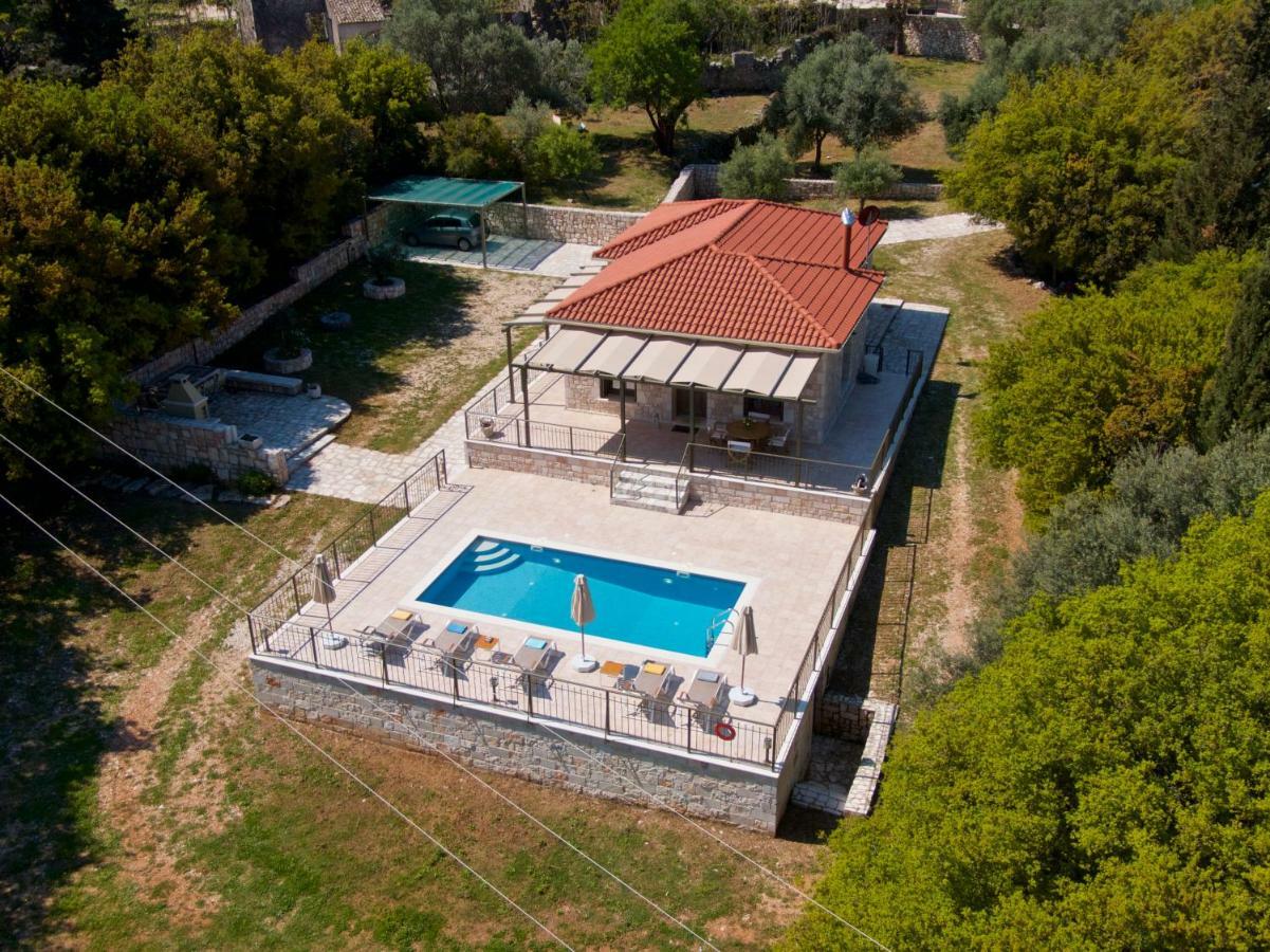 Forest Kefalonia * Λογαράτα
